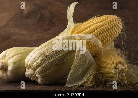 closeup view of corn or maize on a wooden table top, popular starchy vegetable with cob and husk Stock Photo