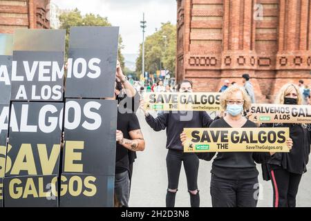 Barcelona, Catalonia, Spain. 21st Oct, 2021. Protesters are seen in front of the Arc de Triomf in Barcelona with banners that say, save the galgos (Spanish Greyhounds).The international non profit animal rights organization, AnimaNaturalis has called a demonstration in defense of the Spanish Greyhounds, the Galgo, which is a breed used for both hunting and racing in different regions of Spain. Some estimates estimate that in Spain about 50,000 greyhounds and other hunting dogs are abandoned (Credit Image: © Thiago Prudencio/DAX via ZUMA Press Wire) Stock Photo