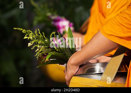 Close-up Buddhist monks hands receive food and flowers during their morning alms round. Religion, culture, lifestyle. Focus on flowers. Stock Photo