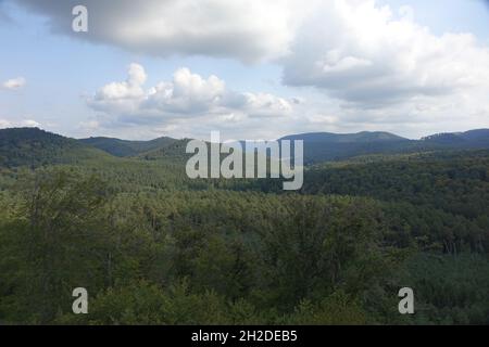 Scenic view over Palatinate Forest and the Vosges from the ruin of medieval fortress Lützelhardt, chateau de Lutzelhardt near the French German border Stock Photo