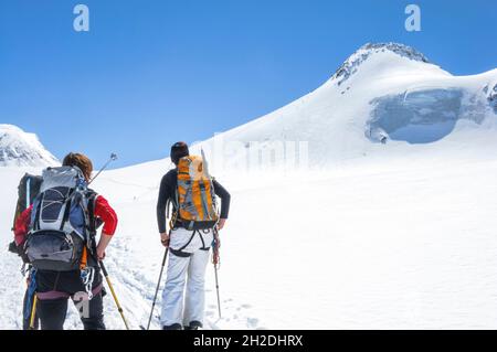 High alpine adventure on glacier in tirol mountains - ski mountaineerers on the way up to Wilder Pfaff Stock Photo
