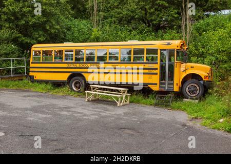 Yellow American school bus converted into a rum distillery, Dartington Cider Press, Devon, England, United Kingdom. Stock Photo