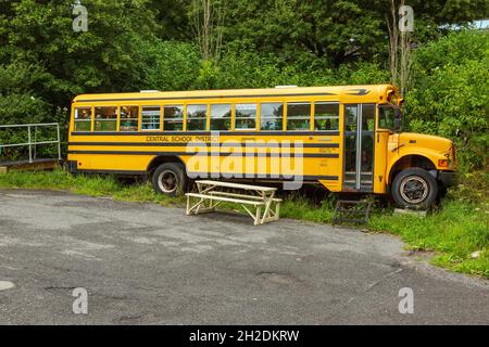 Yellow American school bus converted into a rum distillery, Dartington Cider Press, Devon, England, United Kingdom. Stock Photo