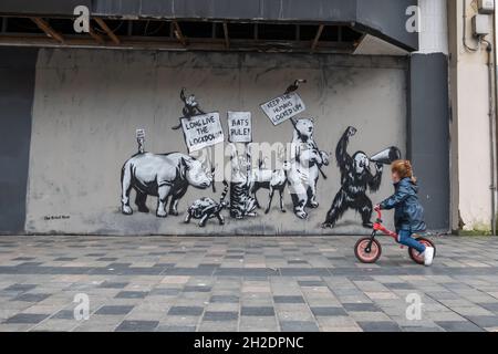 Glasgow, Scotland, UK. 21st Oct, 2021. Wall artwork by The Rebel Bear. Credit: Skully/Alamy Live News Stock Photo