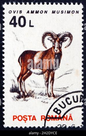 ROMANIA - CIRCA 1993: a stamp printed in Romania shows mouflon, ovis ammon musimon, wild sheep, circa 1966 Stock Photo