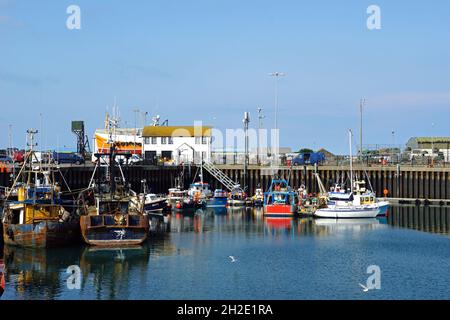 Small harbour in fishing village of Portavogie in County Down, Northern Ireland 31.07.2019 Stock Photo