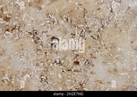 unevenly textured surface of a marbled stone tile Stock Photo