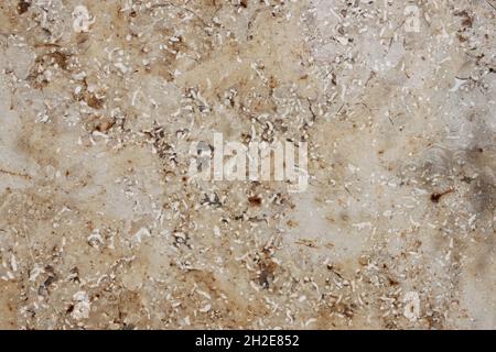 unevenly textured surface of a marbled stone tile Stock Photo