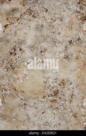 unevenly textured surface of a marbled stone tile Stock Photo