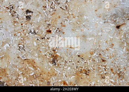 unevenly textured surface of a marbled stone tile Stock Photo