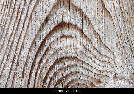 light wood with interesting grain Stock Photo