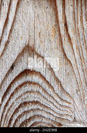light wood with interesting grain Stock Photo