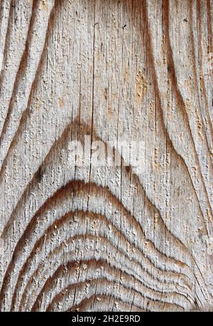 light wood with interesting grain Stock Photo