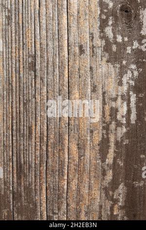 light wood with interesting grain Stock Photo