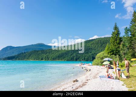 Kochel am See: Walchensee (Lake Walchen), beach in Oberbayern, Upper Bavaria, Bayern, Bavaria, Germany Stock Photo