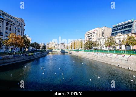 Bucharest, Romania, 22 November 2020 - Dambovita river, old buildings and yellow, orange and brown leaves in large trees in the center of Bucharest, R Stock Photo