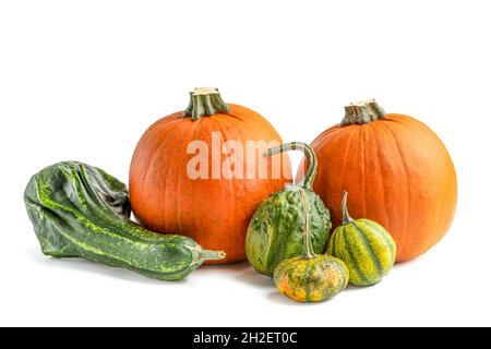 Pumpkin on a white background. Decorative pumpkin isolated halloween isolate on white to insert into your project or design. Three orange pumpkins Stock Photo