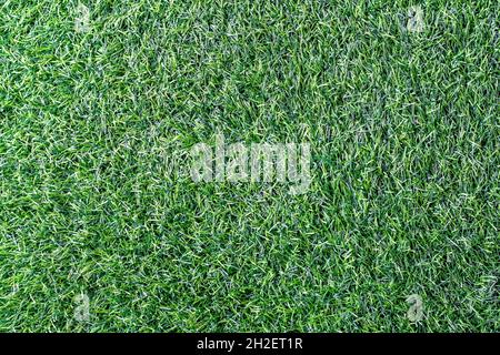 Artificial green plastic grass texture background Stock Photo
