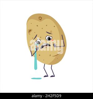 Cute potato characters with love emotions, smiling face, arms and legs. The  funny or happy food heroes with hearts, vegetable fall in love. Vector flat  illustration Stock Vector Image & Art 