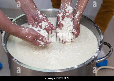 Man is a cheese maker in the process of producing different varieties of  cheese in the industry. Milk cheese making Stock Photo