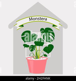 Monstera in a flower pot on the background of a house with a window. Vector illustration of indoor plant for home or office interior decor. Room Stock Vector