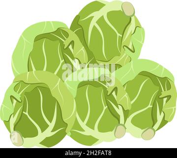 Brussels sprouts icon. Food for a healthy diet. Natural product made from green vegetables, suitable for vegetarians. A source of vitamins. Vector flat illustration Stock Vector