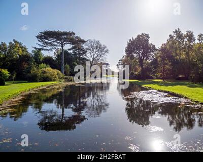 Beautiful trees reflected in a lake in a park in sunlight Stock Photo