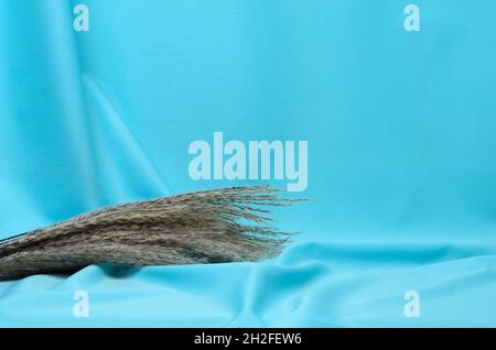 Autumn bouquet of reeds on a textured background made of soft blue ...