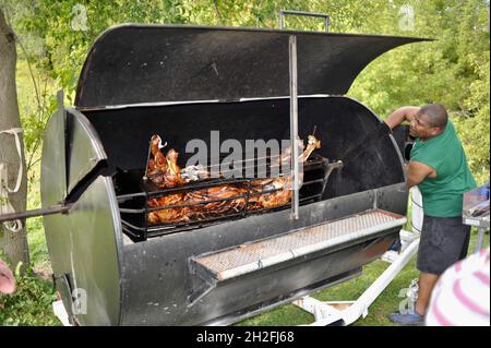 Preparation and spit-roasting of whole pig hog outside in a grill, over charcoal, on a Midwestern farm, Blanchardville, Wisconsin, USA Stock Photo