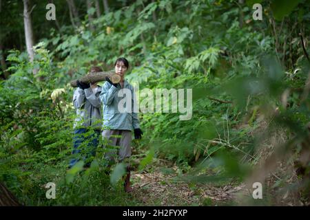 Women Carrying Log Stock Photo