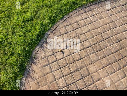 Stamped concrete pavement cobblestones pattern, decorative paving cobblestones tile on cement flooring in a park with green lawn Stock Photo