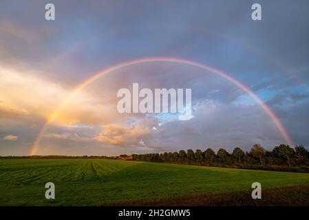 Bright rainbow over the green fields of Holland in the evening light Stock Photo