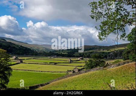 Agricultural land divided up with drystone walls in Swaledale near the small village of Gunnerside in the Yorkshire Dales National Park in Britain. Th Stock Photo