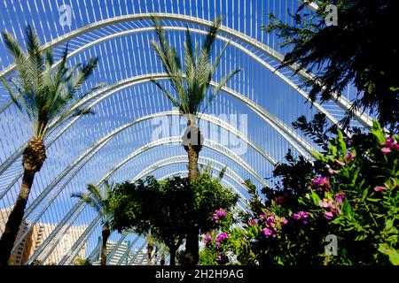 Valencia Spain Park in The Umbracle, Valencia Umbracle garden with palm trees Stock Photo