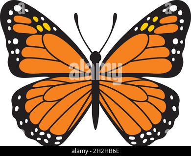 Butterfly insect color vector illustration Stock Vector