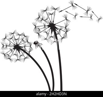 Dandelion in the wind vector illustration Stock Vector