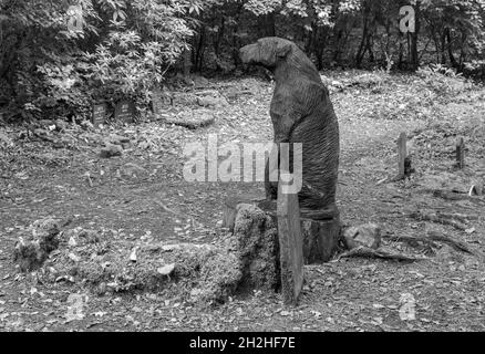 Dog graves in Dogs Cemetery at Portmeirion, Gwynedd, North Wales- Pets Cemetery Stock Photo