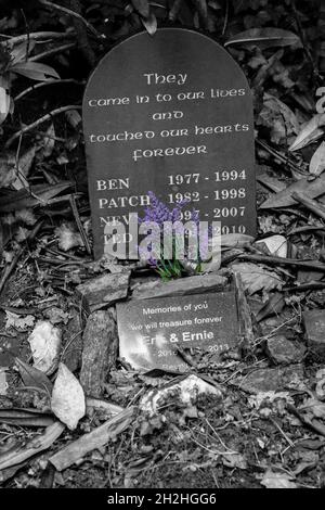 Dog grave in Dogs Cemetery at Portmeirion, Gwynedd, North Wales Pets Cemetery - They came into our lives and touched our hearts forever Stock Photo