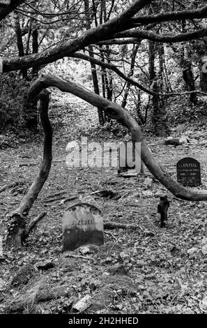 Dog graves in Dogs Cemetery at Portmeirion, Gwynedd, North Wales, Pets Cemetery Stock Photo