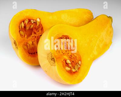 Butternut squash cut in half isolated on white background Stock Photo