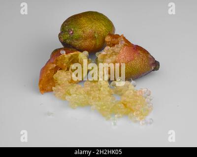 Finger lime or caviar lime, close-up on white background Stock Photo