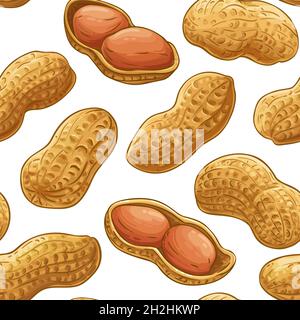 peanut vector pattern on white background Stock Vector