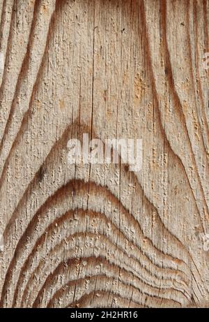 light wood with intresting grain Stock Photo