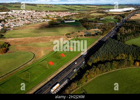 Livingston, Scotland, UK. 22nd Oct, 2021. PICTURED: Aerial images of giant red poppy flowers painted onto the grass pyramids which border alongside the M8 motorway near Livingston and Bathgate. The giant artworks appear every year to coincide with the national launch of the 2021 Poppy Scotland appeal marking the start of the remembrance period. The artworks are painted by the groundsmen from Murrayfield and Linemark UK Ltd. Credit: Colin Fisher/Alamy Live News Stock Photo