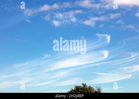 Cirrus, or fair-weather clouds, Midwestern USA, by James D Coppinger/Dembinsky Photo Assoc Stock Photo