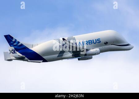 Nantes (north-western France), on November 06, 2020: the new large transport aircraft Airbus Beluga XL or Airbus A330-700 at take-off. First flight of Stock Photo