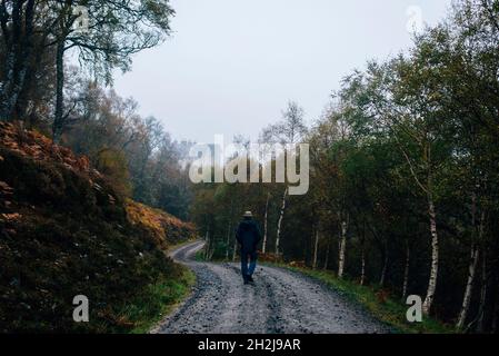 the solitary figure of a lone man walking down a path through a forest on a misty and moody autumn evening Stock Photo
