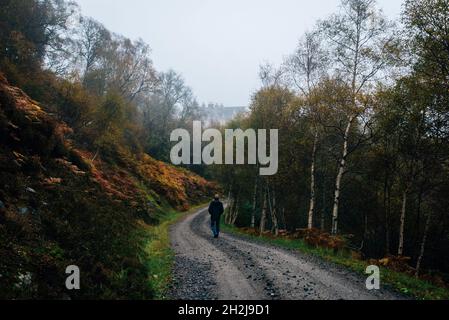 the solitary figure of a lone man walking down a path through a forest on a misty and moody autumn evening Stock Photo