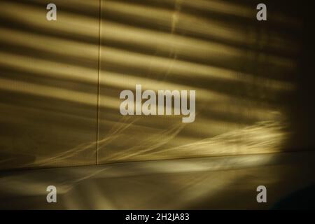 wall with golden light and black shadows from blinds. Stock Photo