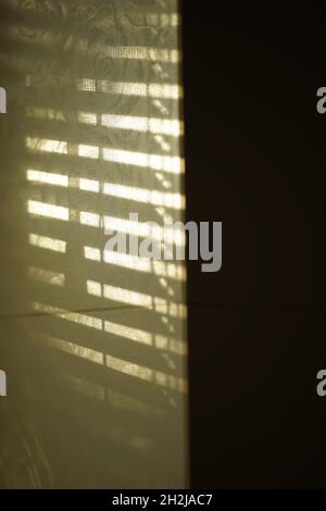 Wall with sunlight and shadows from blinds. Stock Photo